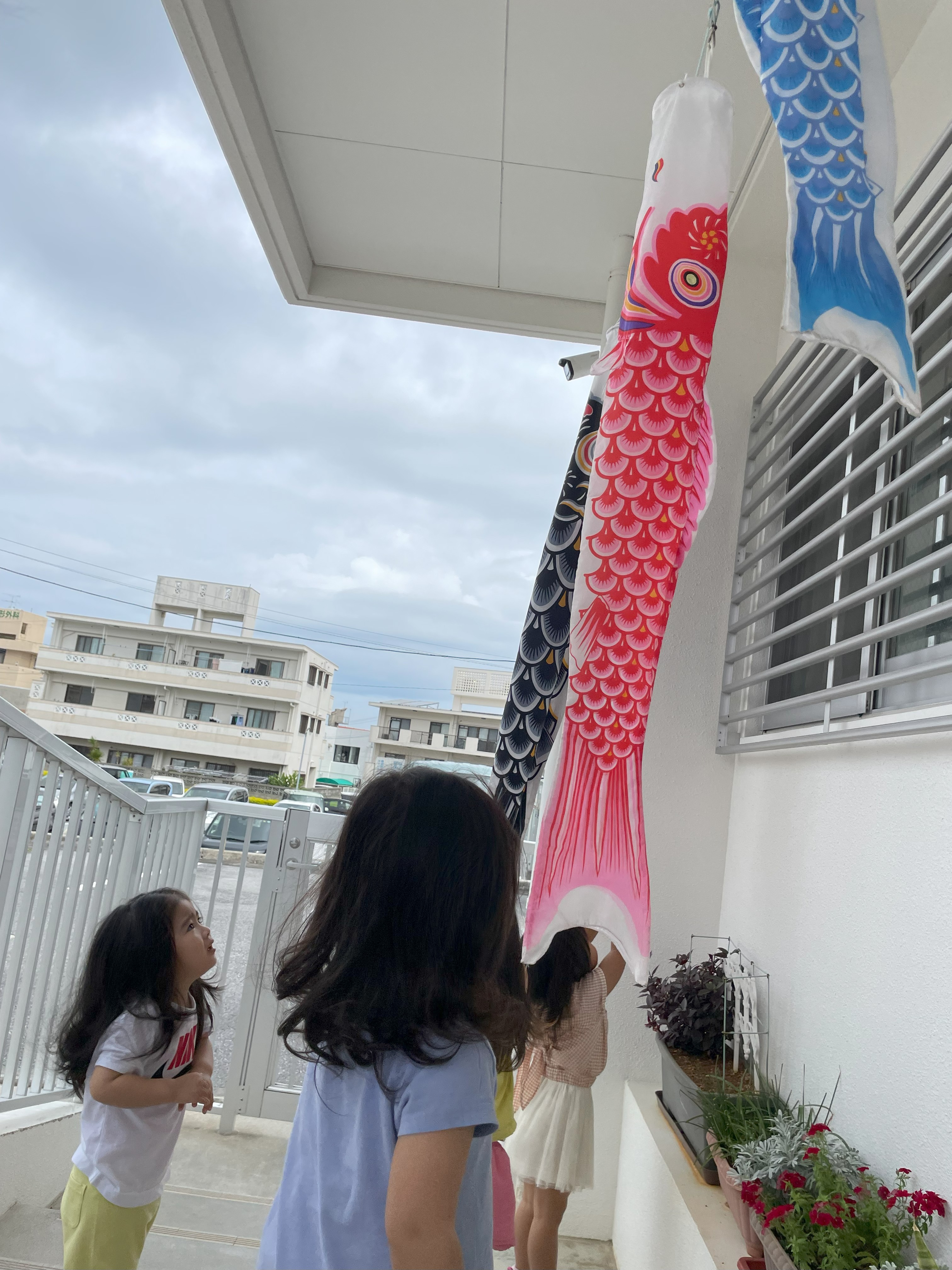 写真 こいのぼり①